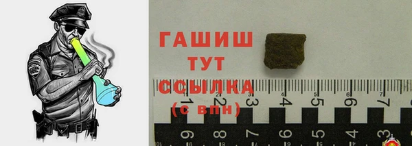 гашик Медногорск